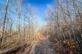 0 Mayberry Prong Rd - Photo 4