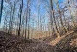 0 Mayberry Prong Rd - Photo 6