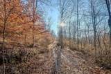 0 Mayberry Prong Rd - Photo 8