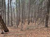 613 Williams Grove Rd - Photo 2