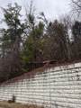 0 Birds Creek - Photo 8