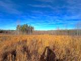 0 Saddleback Dr - Photo 3