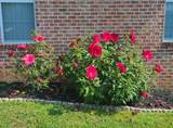 111 Buckhaven Drive - Photo 79