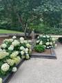 6329 Johnson Chapel Rd - Photo 91