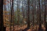 0 Woodfern Lane - Photo 4