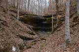 351 Hurricane Creek Rd - Photo 38