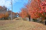 351 Hurricane Creek Rd - Photo 10