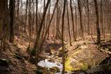 0 Deer Run Road - Photo 13