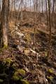 0 Deer Run Road - Photo 20