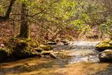 0 Deer Run Road - Photo 3