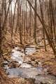 0 Deer Run Road - Photo 21