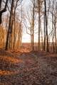 0 Deer Run Road - Photo 35