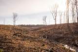 0 Deer Run Road - Photo 37