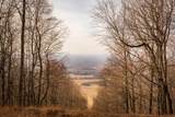 0 Deer Run Road - Photo 5