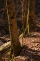0 Deer Run Road - Photo 43