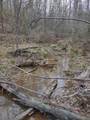 0 Hwy 114 W - Photo 7