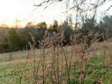 1462 Old Highway 99 - Photo 5