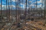 0 Hutchins Bend Rd - Photo 2
