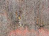0 Kehrer Ln - Photo 10