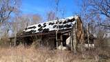 655 Burton Ridge Rd - Photo 23