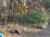 0 Pawnee Trail - Photo 5