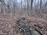 0 Buffalo Cove Lane - Photo 1