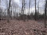 0 Buffalo Cove Lane - Photo 12