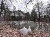 0 Buffalo Cove Lane - Photo 16