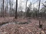 0 Buffalo Cove Lane - Photo 5
