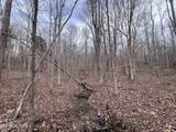 0 Buffalo Cove Lane - Photo 6
