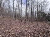 0 Buffalo Cove Lane - Photo 7