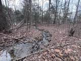 0 Buffalo Cove Lane - Photo 8