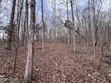 0 Buffalo Cove Lane - Photo 10