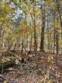 0 Old Nashville Dirt Road - Photo 16
