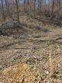 0 Honey Fork Road - Photo 2