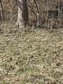 0 Honey Fork Road - Photo 11