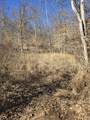 0 Honey Fork Road - Photo 13
