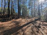 106 Winding Trail - Photo 6