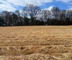 0 Nashville Hwy - Photo 2