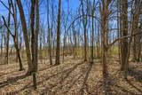 3272 Highway 259 - Photo 46