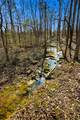 3272 Highway 259 - Photo 47