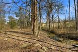 3272 Highway 259 - Photo 50