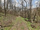 0 Goose Branch Rd - Photo 11