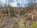 0 Goose Branch Rd - Photo 9