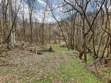 0 Goose Branch Rd - Photo 10