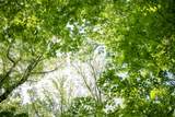 0 Pinewood Road - Photo 15