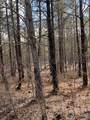 3 Thomas Springs Road - Photo 1
