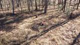0 Rolling Hills Dr - Photo 11