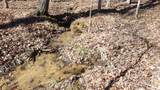 0 Rolling Hills Dr - Photo 10