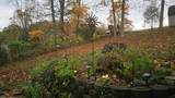 2563 Distillery Rd - Photo 44